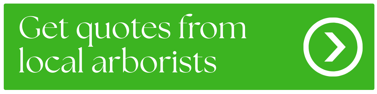 Example Policies Order